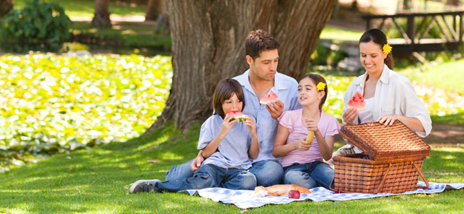 Pru-Ogden-Agent-SS-Picnic.jpg